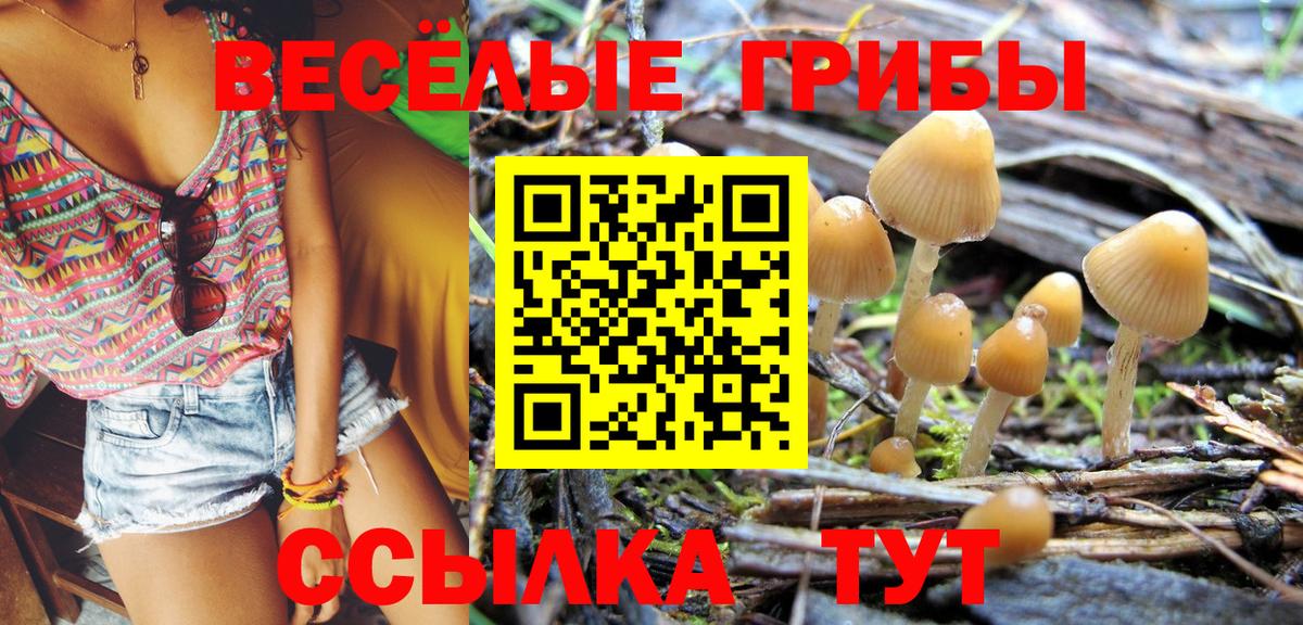 Галлюциногенные грибы MAGIC MUSHROOMS Чусовой